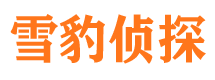 平阴外遇调查取证